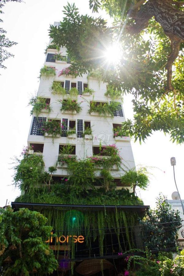 Seahorse Tropical Apartment Da Nang Eksteriør billede